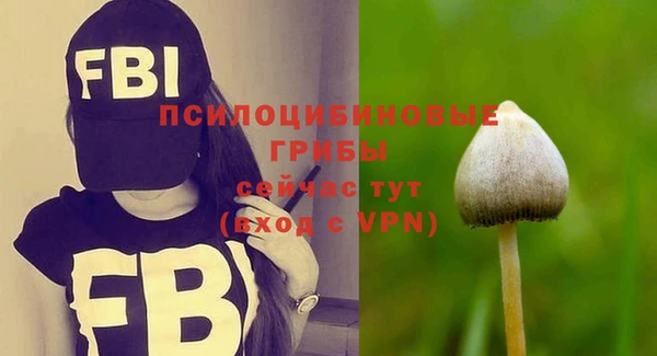 гидропоника Володарск