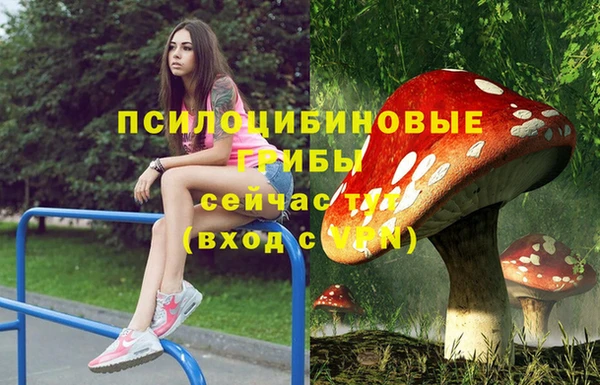 прущие крисы Волосово
